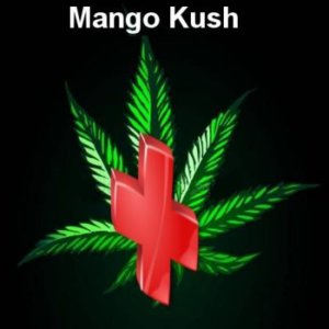 Rescue weed Mango Kush