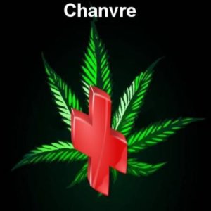 Rescue weed Chanvre