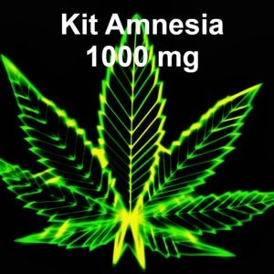 Kit CBD Amnesia