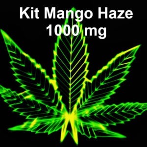 Kit CBD Mango Haze 1000 mg