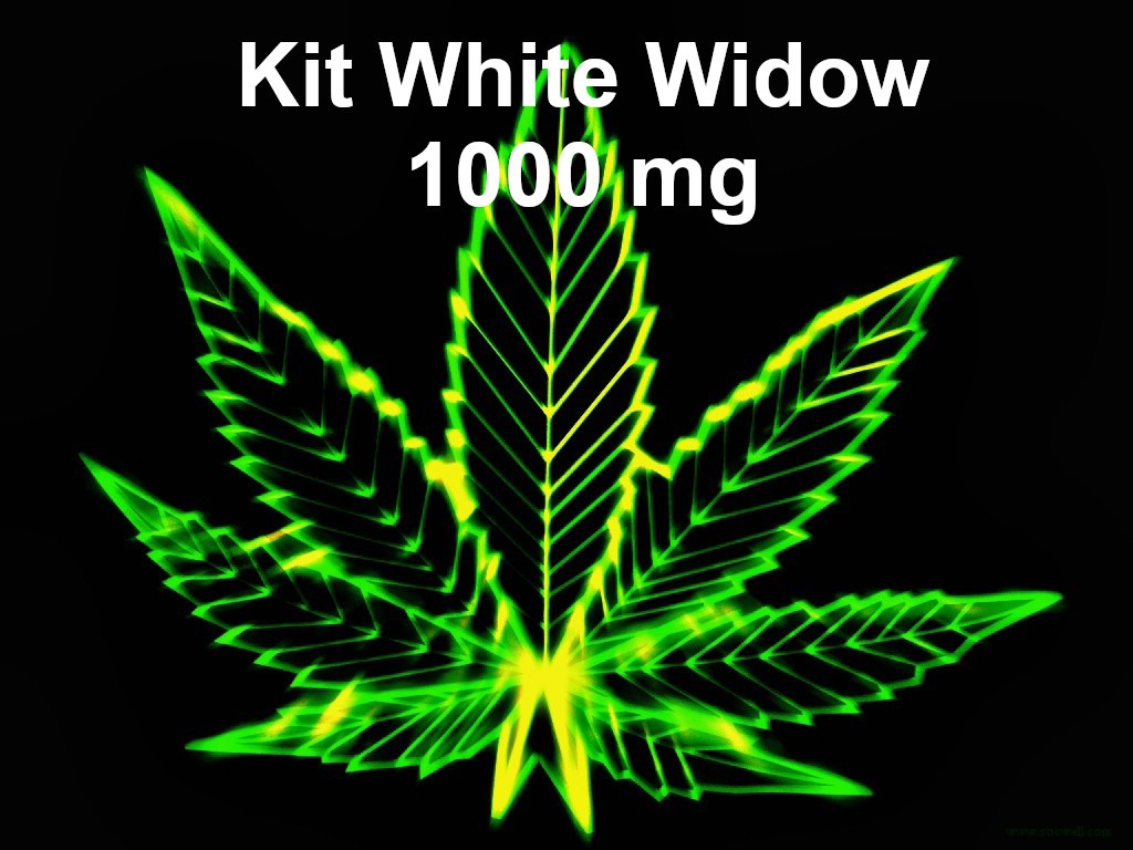kit arrêt joint White Widow 1000 mg CBD