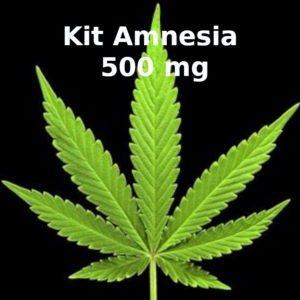 Kit CBD amnesia 500 mg