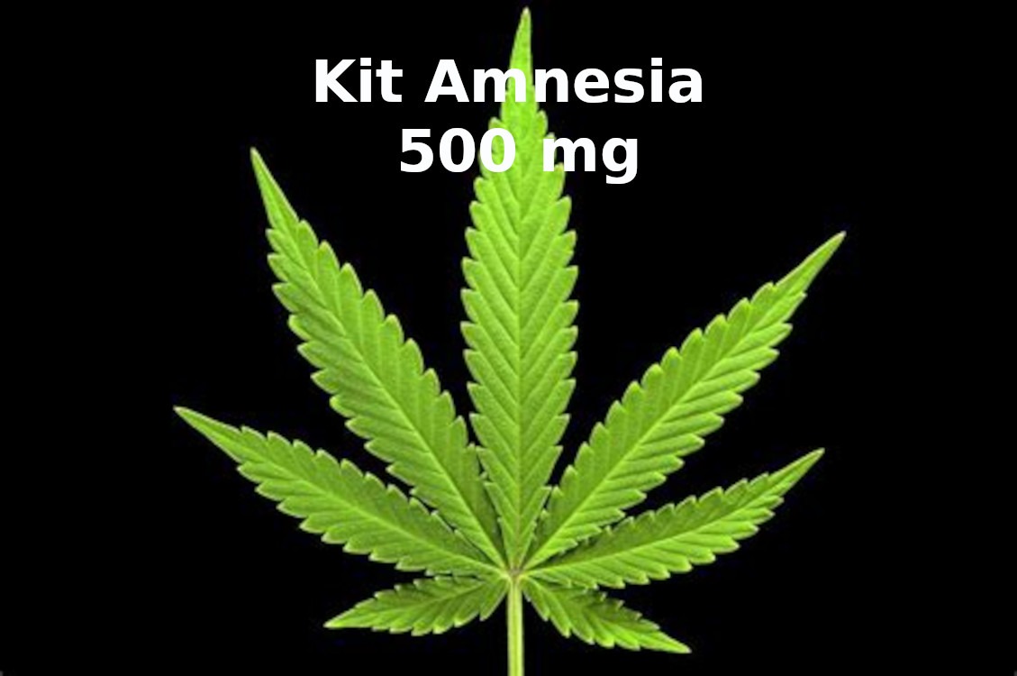 kit arrêt joint amnesia 500 mg