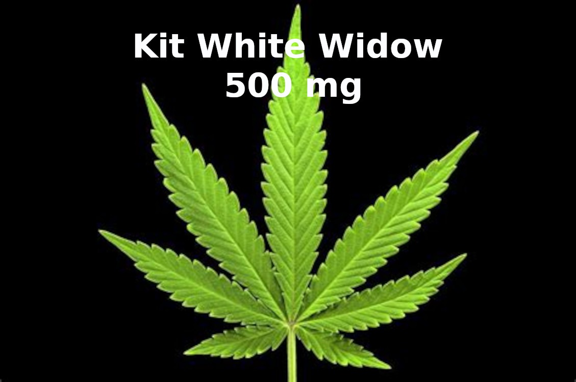 kit arrêt joint white widow 500 mg