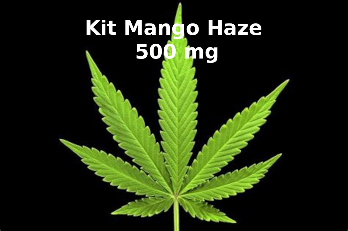 kit arrêt joint Mango Haze 500 mg